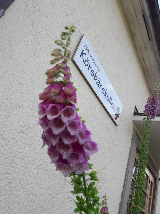 Hostel Koersbaerskullen Vimmerby Exteriér fotografie